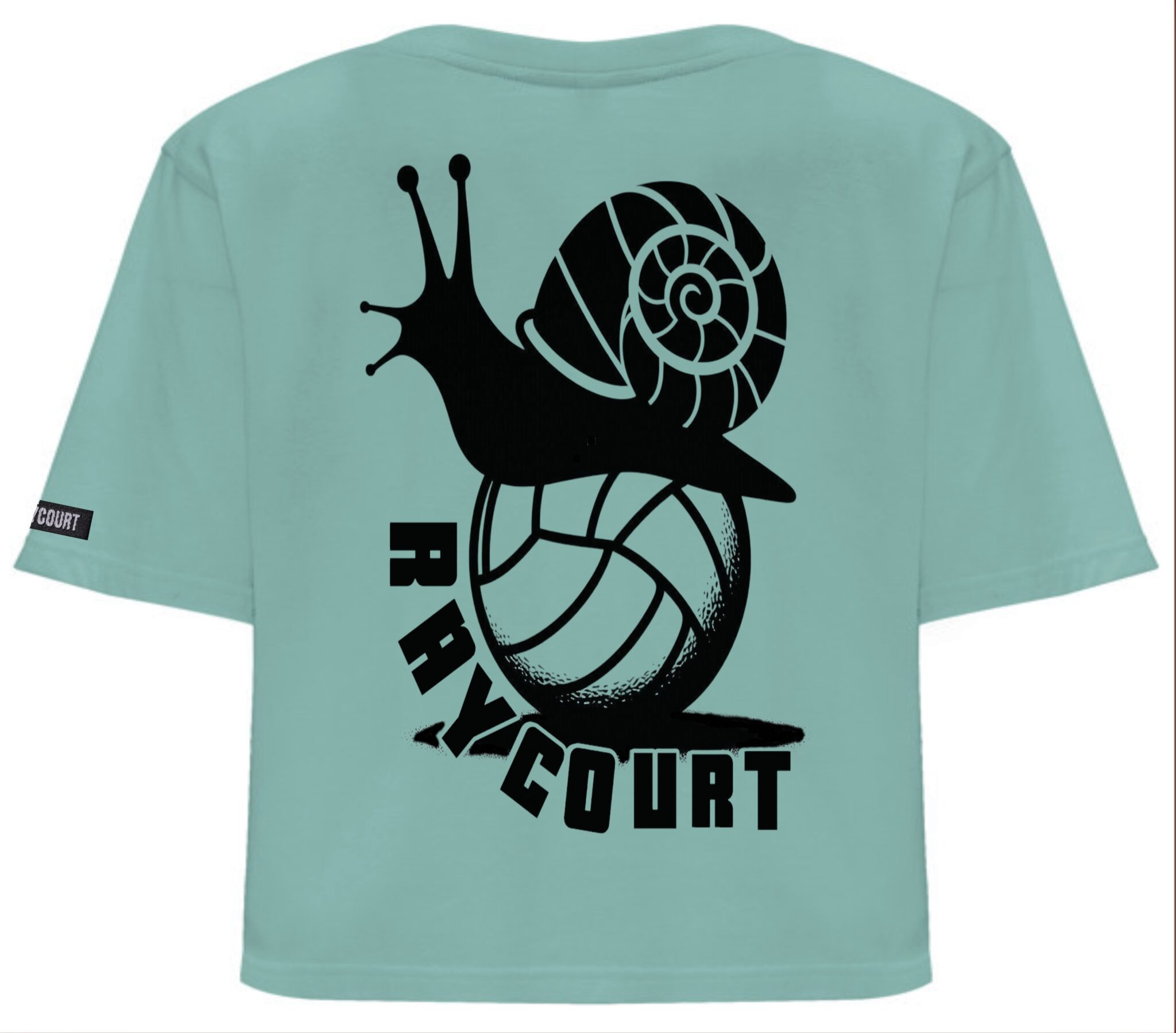 Caracol sobre balon - Imagen 7